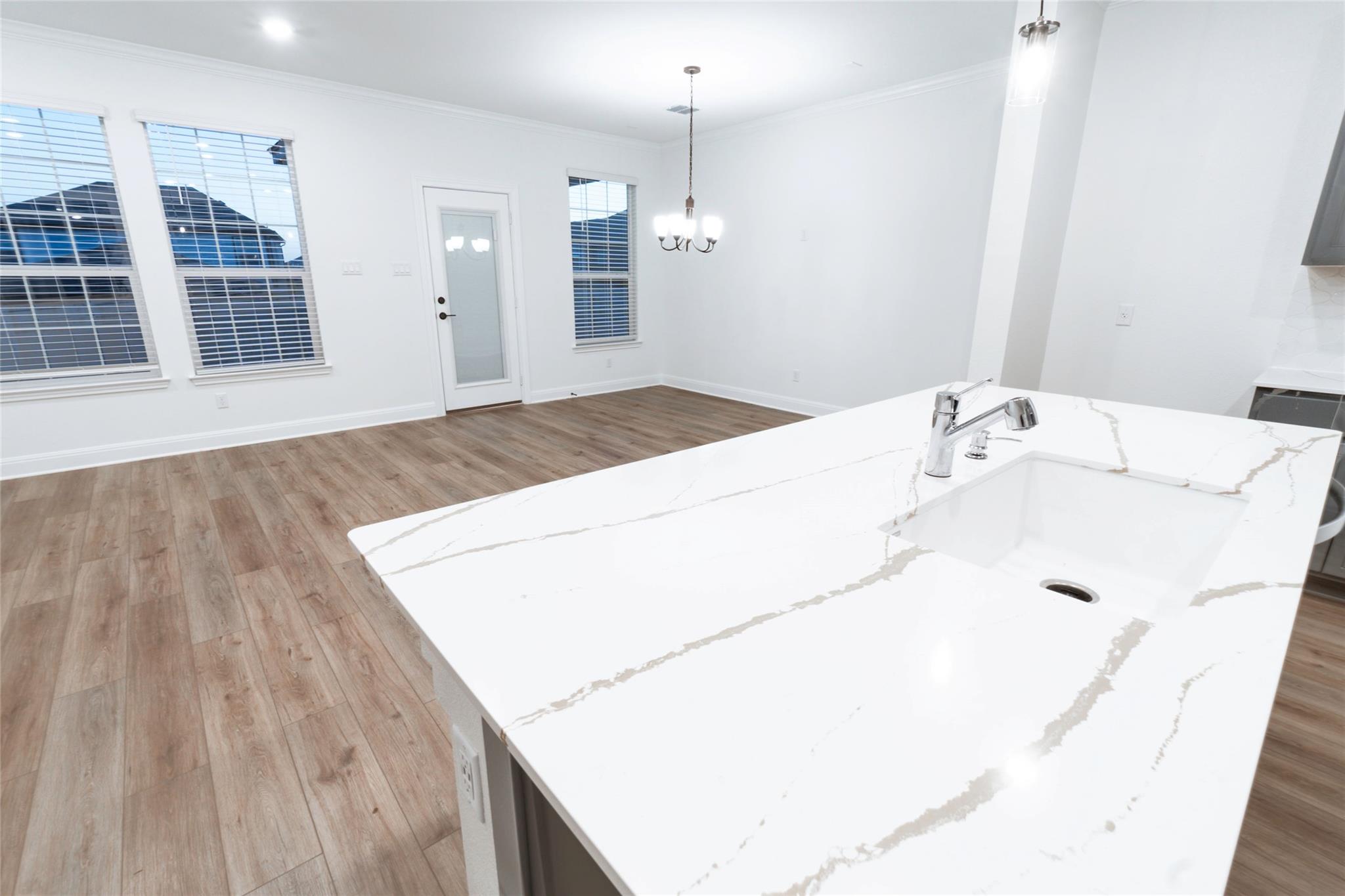 4509 Acerno Street Round Rock TX 78665