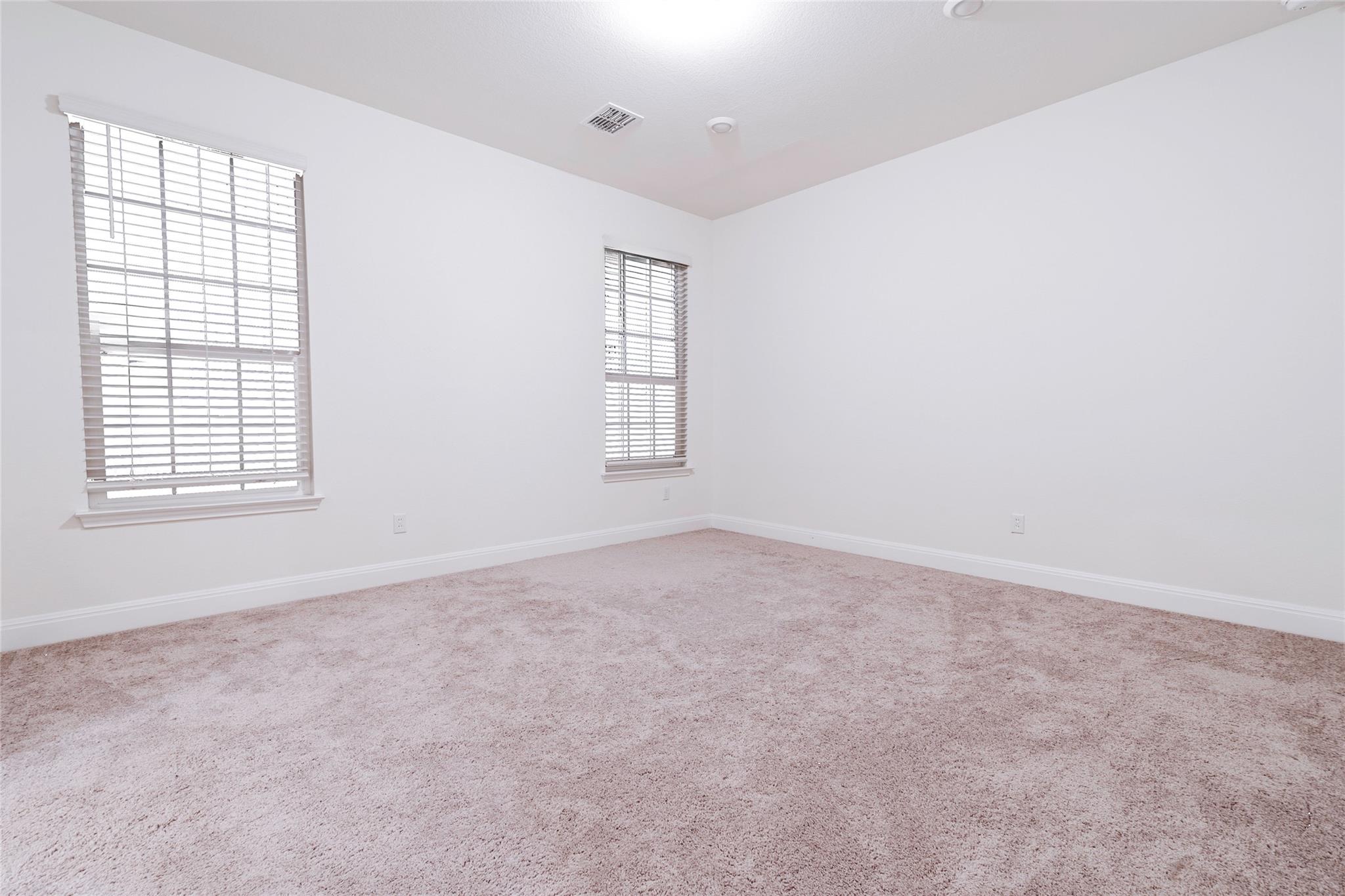 4509 Acerno Street Round Rock TX 78665