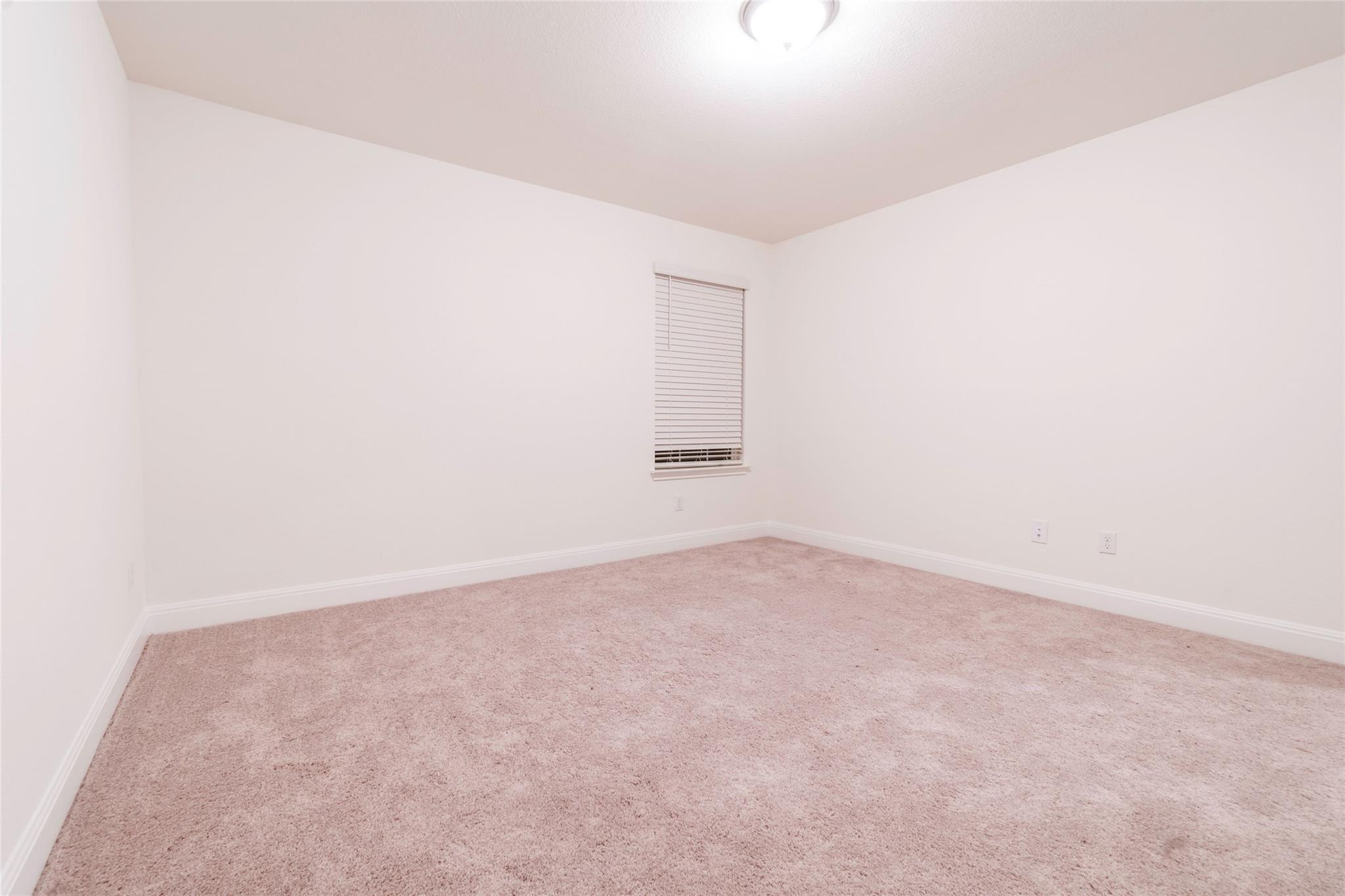 4509 Acerno Street Round Rock TX 78665