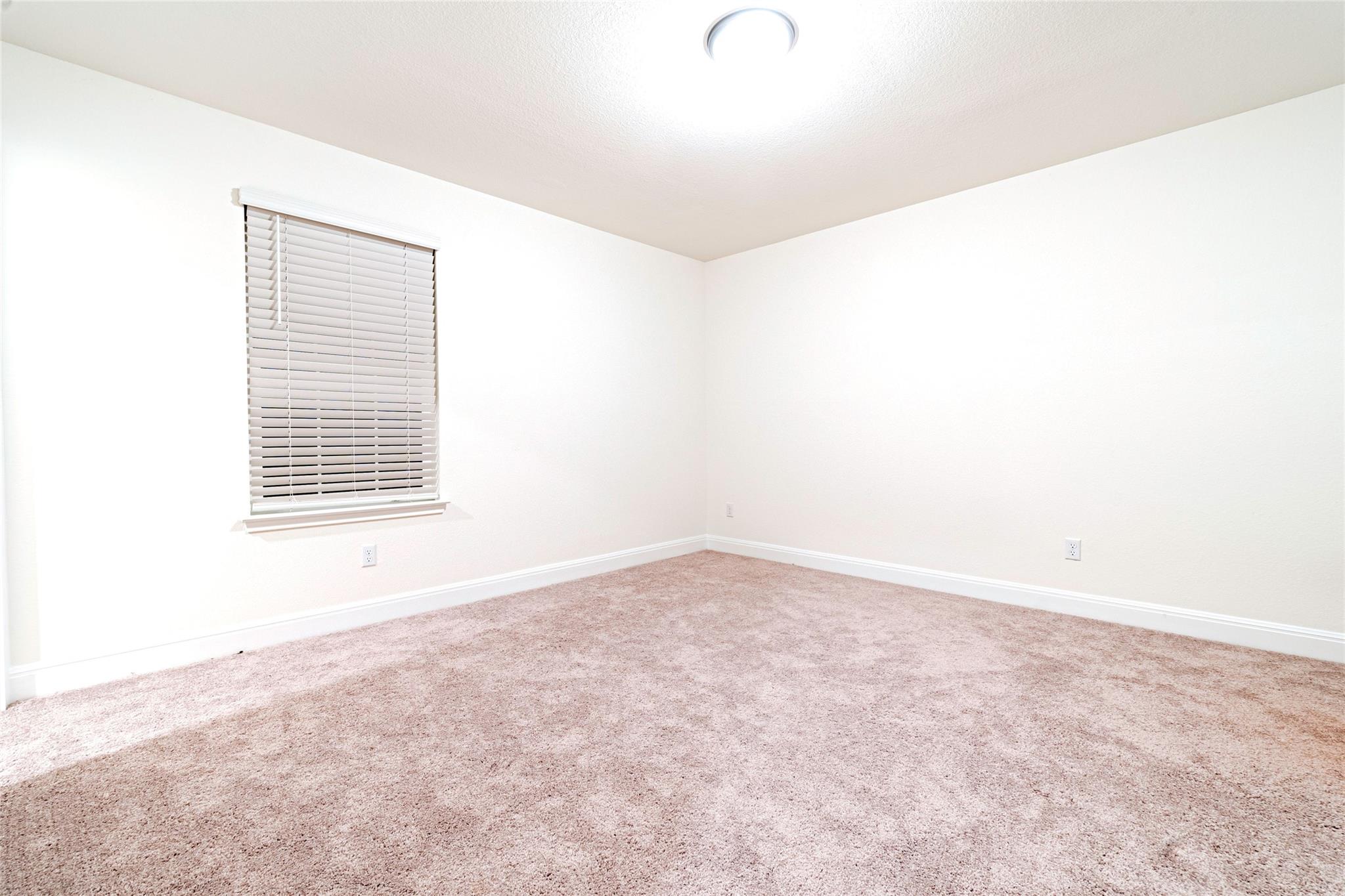 4509 Acerno Street Round Rock TX 78665
