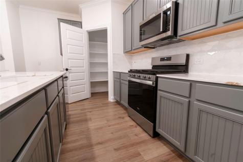 4509 Acerno Street Round Rock TX 78665