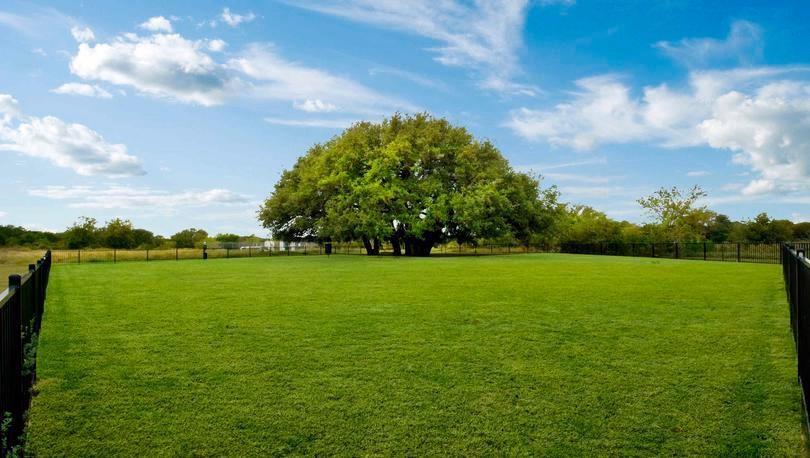 149 Proclamation Avenue Liberty Hill TX 78642