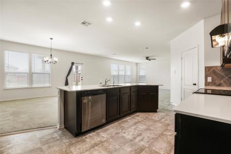 18917 Rushmore Street Manor TX 78653