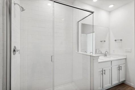 2517 Violet Theo Lane Round Rock TX 78665