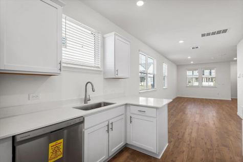 2517 Violet Theo Lane Round Rock TX 78665