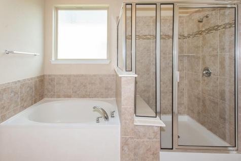 8113 Rosano Street Round Rock TX 78665