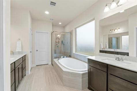 14121 Arbor Hill Cove Manor TX 78653