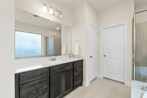 14121 Arbor Hill Cove Manor TX 78653