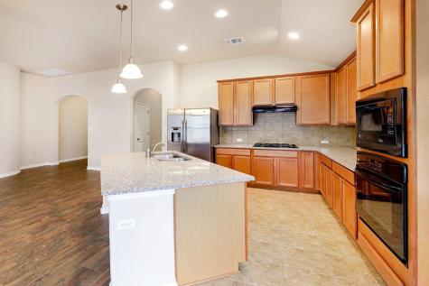 125 David Duval Court Round Rock TX 78664