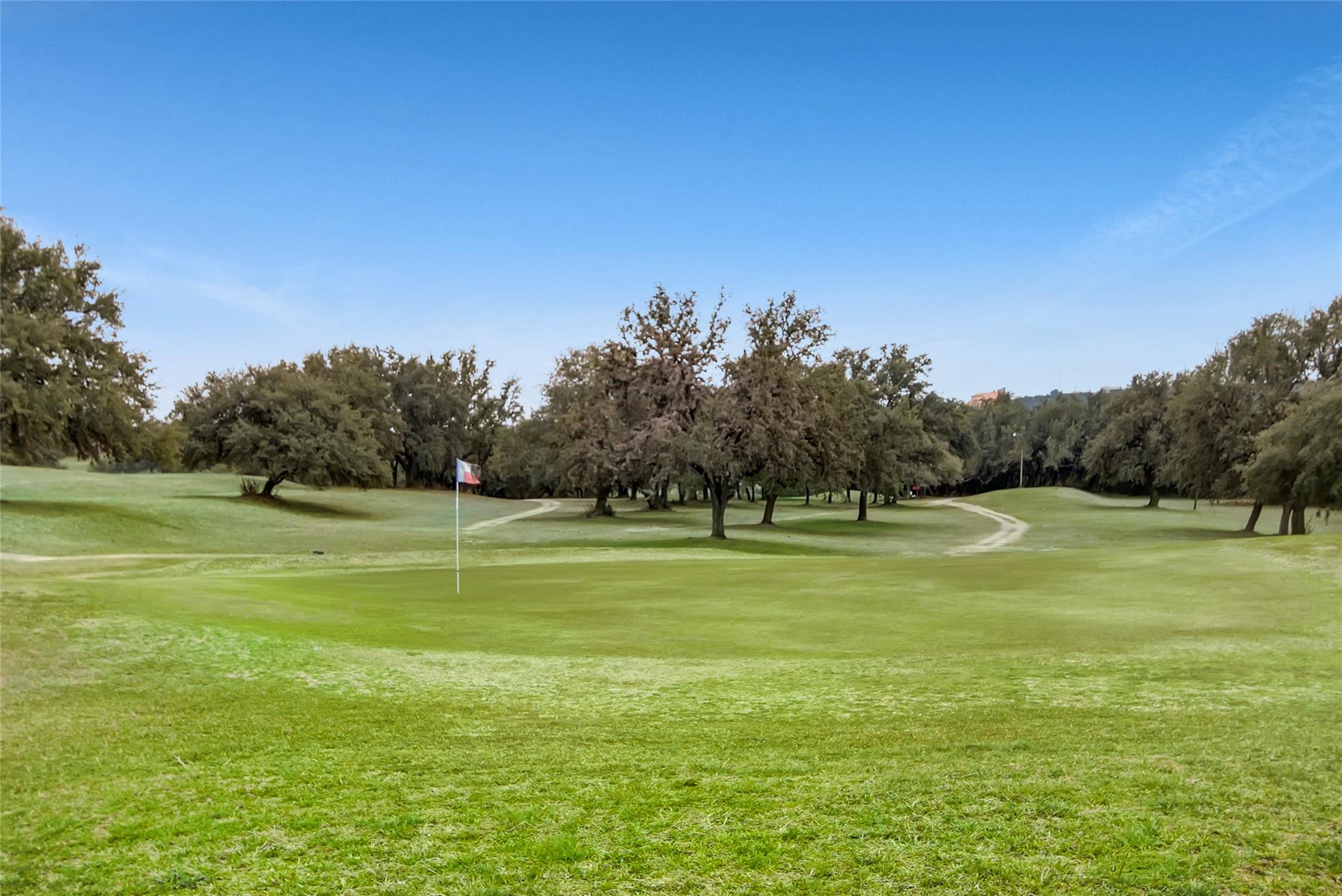 21825 Briarcliff Drive Spicewood TX 78669