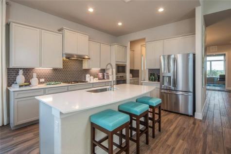 11309 American Mustang Loop Manor TX 78653