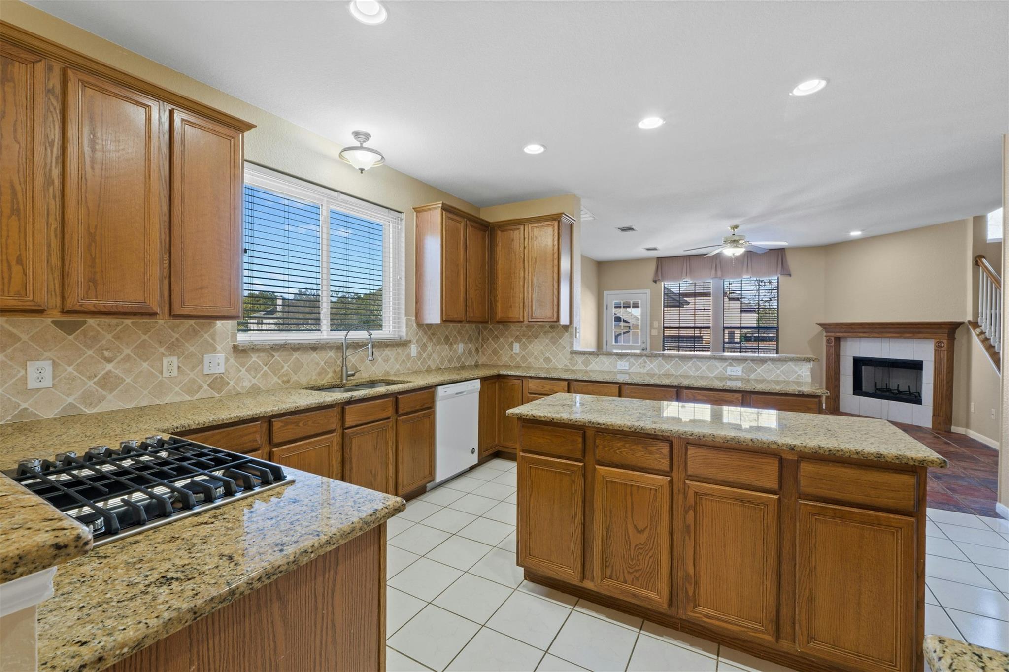 1001 Chickory Court Round Rock TX 78665
