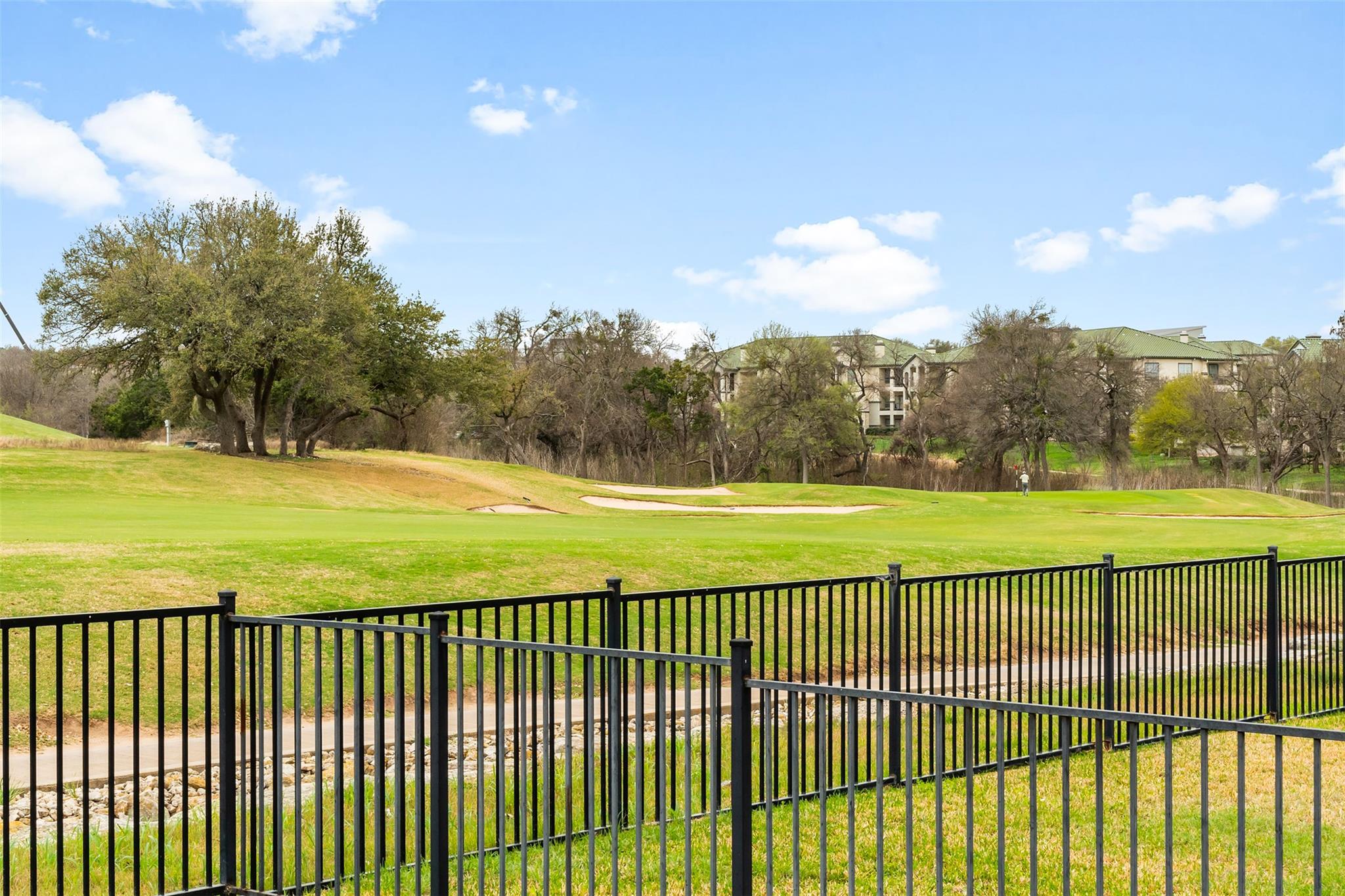 14504 Broadwinged Hawk Drive Austin TX 78738