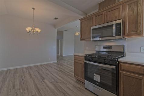 300 Caladium Court Georgetown TX 78626