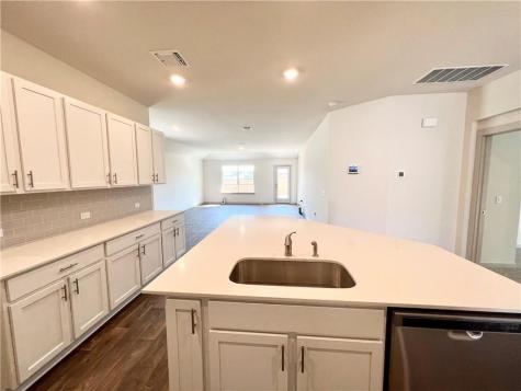 116 Krause Springs Drive Hutto TX 78634