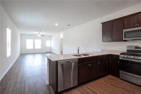 15302 Grenadine Bloom Cove Del Valle TX 78617