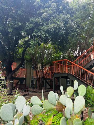 808 Winflo Street Austin TX 78703