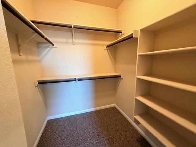 1001 Zodiac Lane Round Rock TX 78665