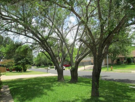 1214 Doonesbury Drive Austin TX 78758