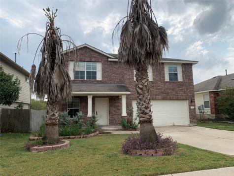 18317 Great Falls Street Manor TX 78653