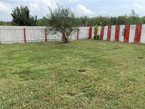 18317 Great Falls Street Manor TX 78653