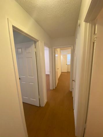 3402 S Oak Drive Austin TX 78704