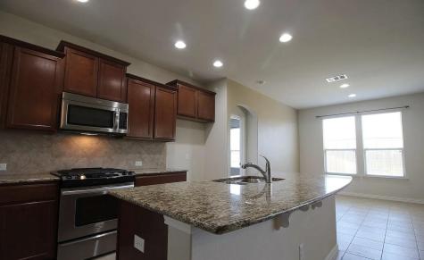 3005 Angelina Court Round Rock TX 78665