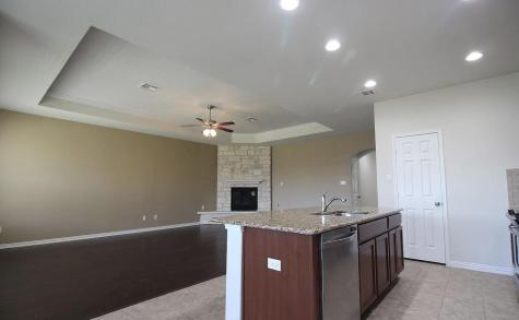 3005 Angelina Court Round Rock TX 78665