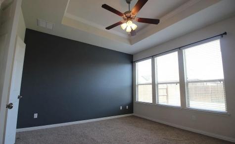 3005 Angelina Court Round Rock TX 78665