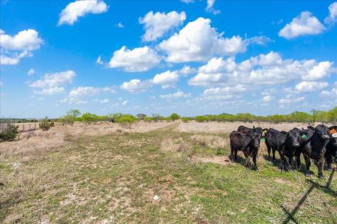 300 County Road 407 Spicewood TX 78669