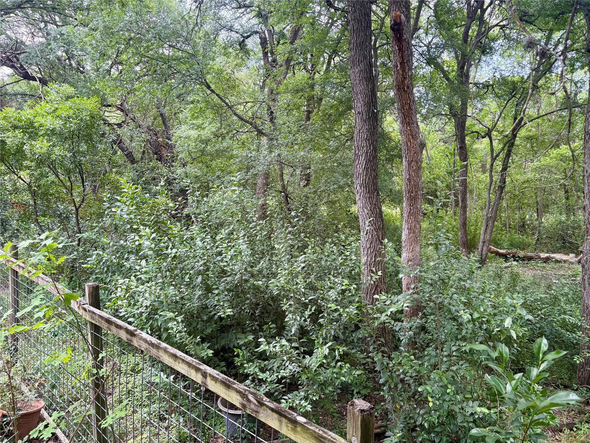 4600 Rivka Cove Austin TX 78741