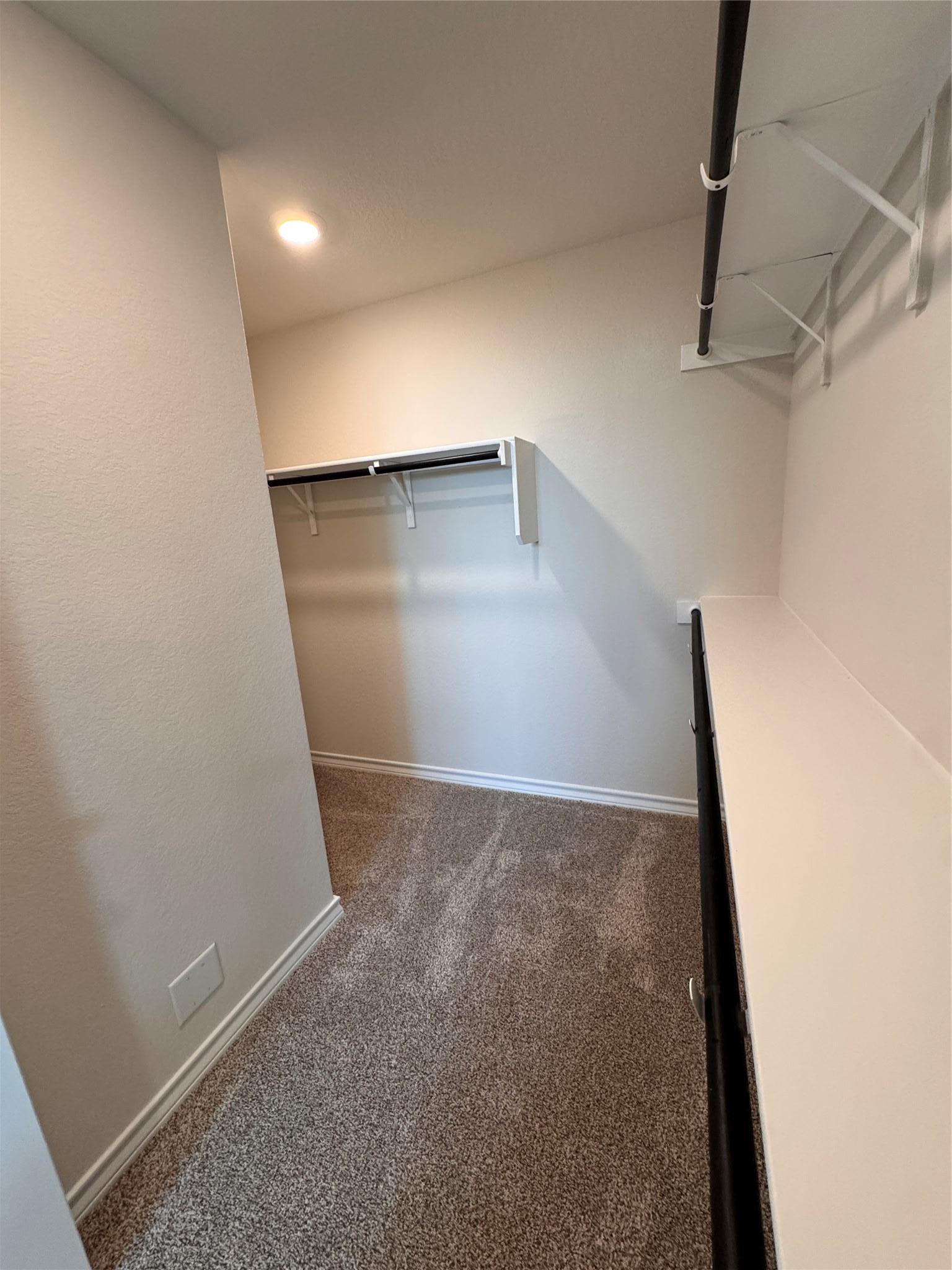 204 Steele Harbor Street Cibolo TX 78108
