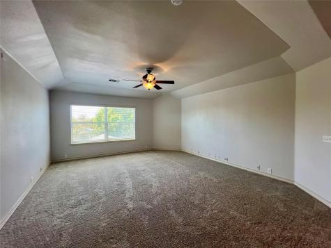 20937 Mandrake Drive Pflugerville TX 78660