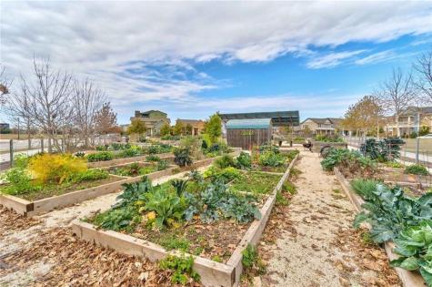 2909 Zach Scott Street Austin TX 78723