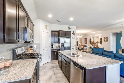 231 Windswept Way Kyle TX 78640