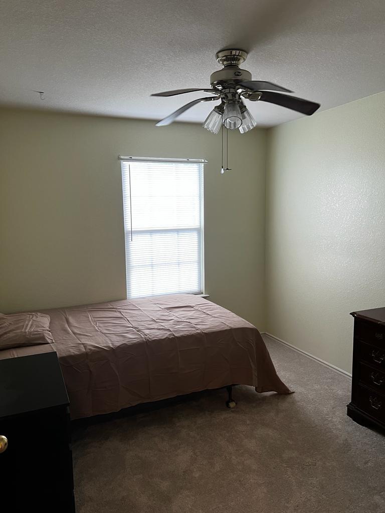1109 Stone Forest Trail Round Rock TX 78681