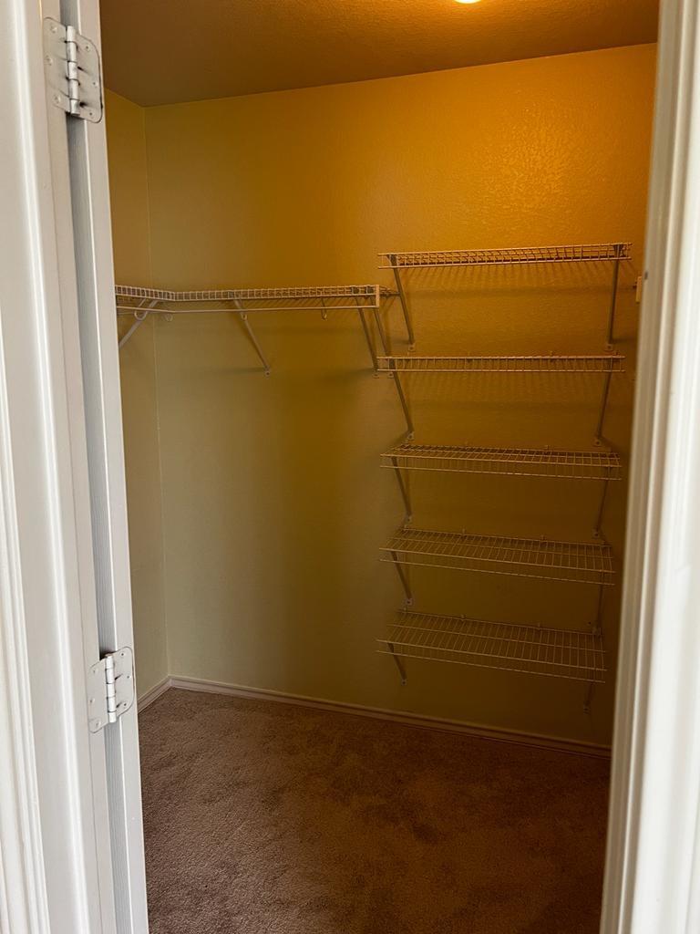 1109 Stone Forest Trail Round Rock TX 78681