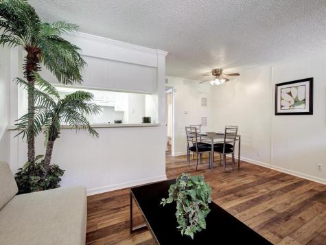 4539 Guadalupe Street Austin TX 78751
