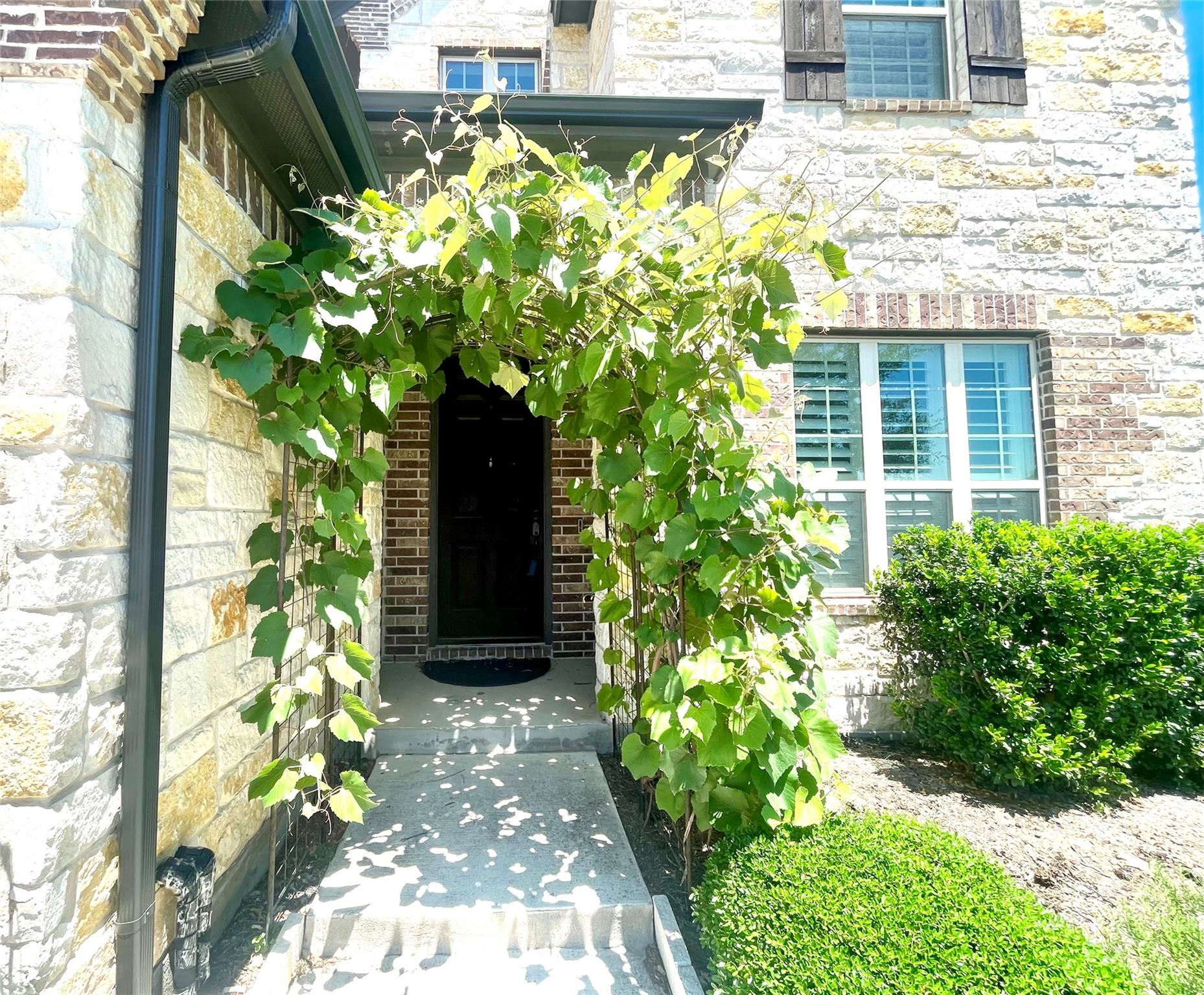 6829 Brindisi Place Round Rock TX 78665