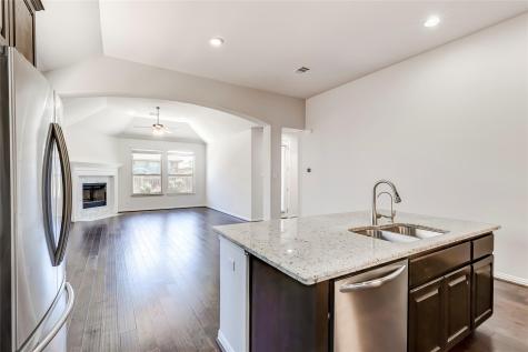 2918 Diego Drive Round Rock TX 78665