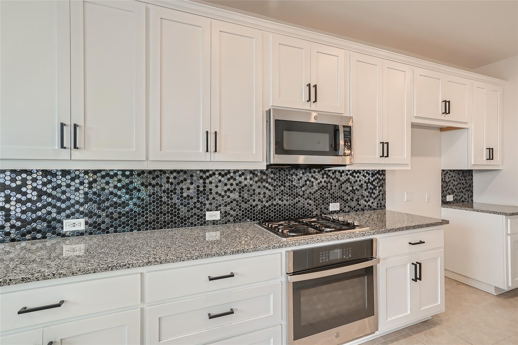 1221 Trevi Fontana Drive Austin TX 78641