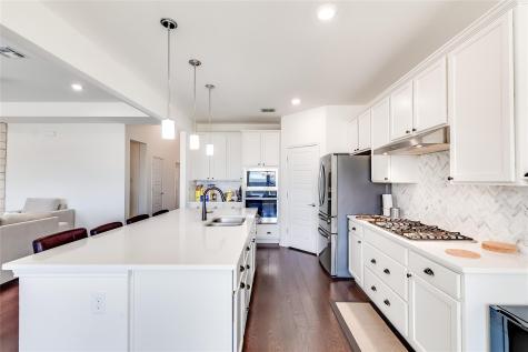 16704 Borromeo Avenue Pflugerville TX 78660
