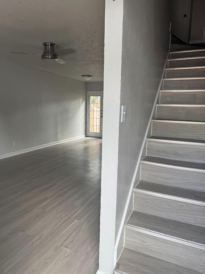 2003 Glen Allen Street Austin TX 78704