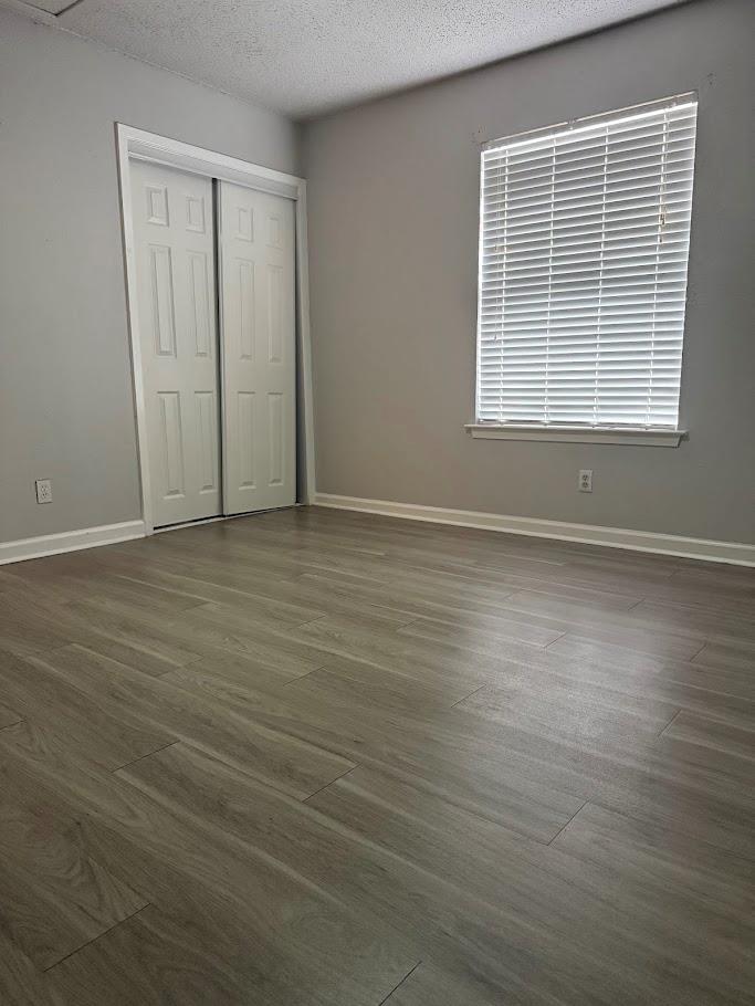 2003 Glen Allen Street Austin TX 78704