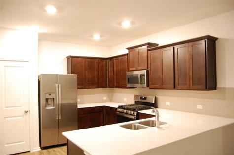 3301 Dusted Daisey Street Pflugerville TX 78660