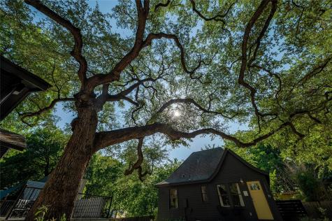 1503 Drake Avenue Austin TX 78704