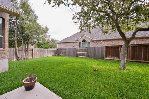 100 Lake Mineral Wells Drive Georgetown TX 78628