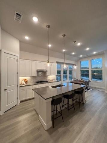 22509 Agave Grove Drive Lago Vista TX 78645