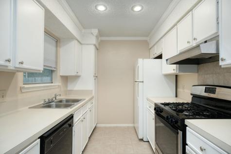 10419 Firethorn Lane Austin TX 78750