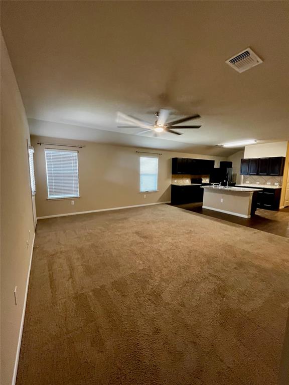 19521 Great Falls Drive Manor TX 78653